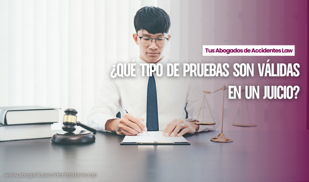 qué evidencia necesito para una demanda